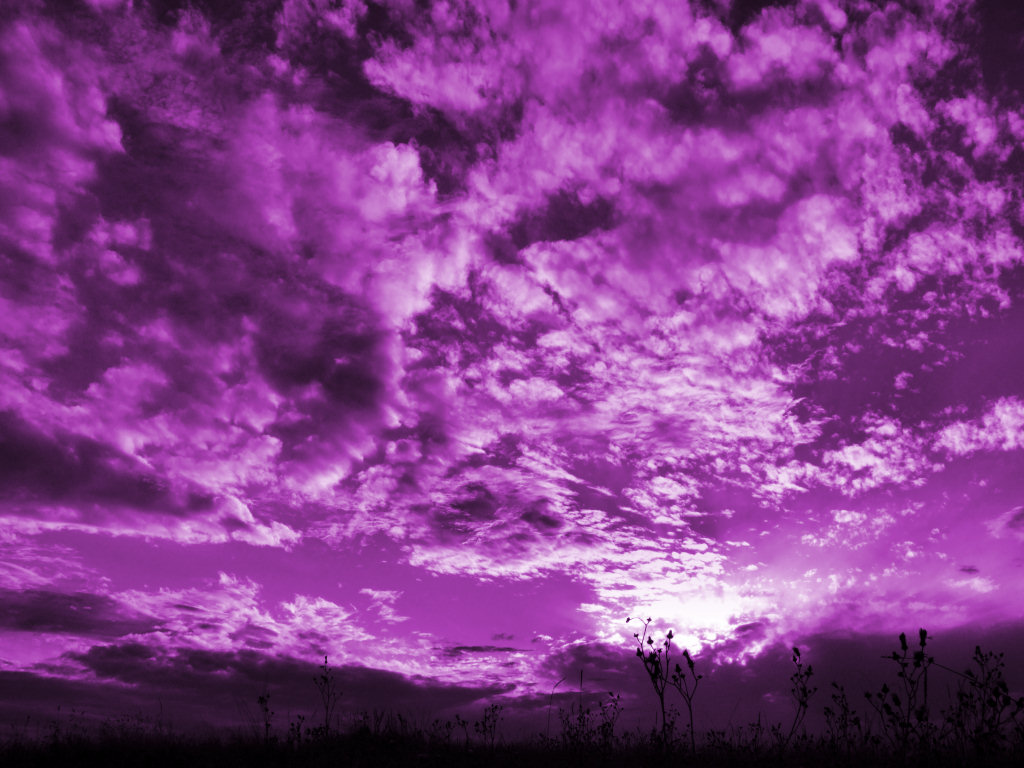 purple sky semblance